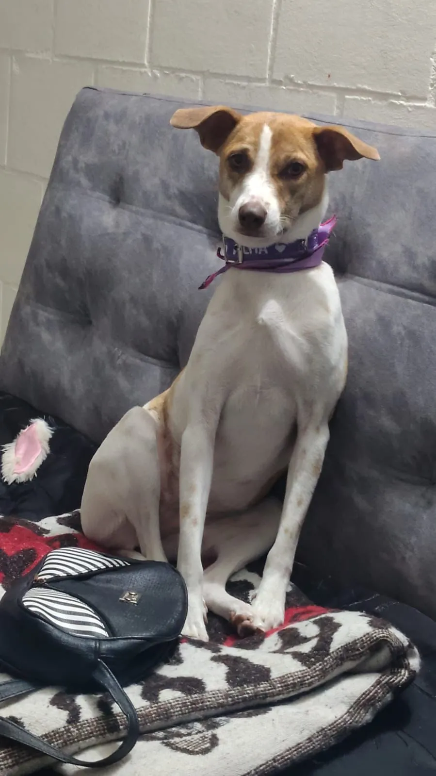 alma