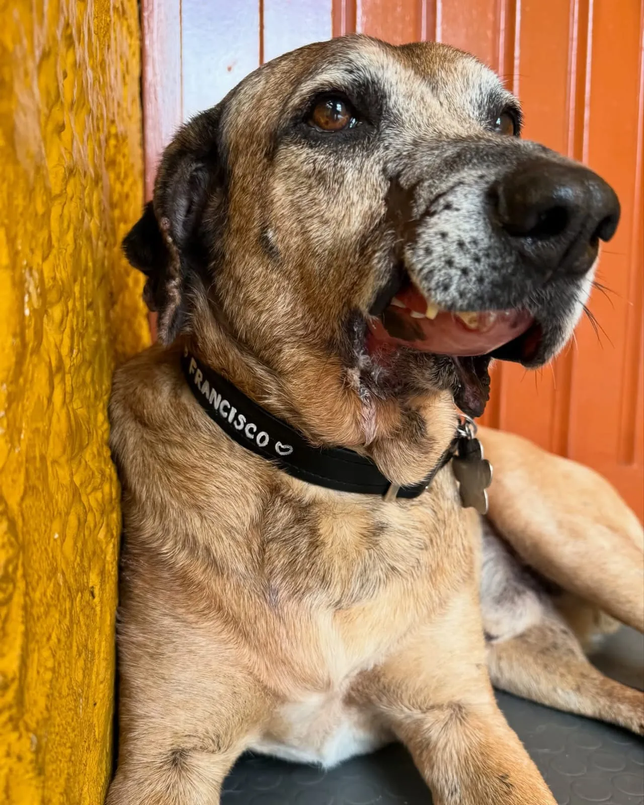 Francisco